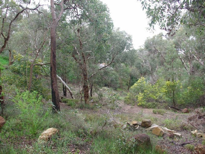 39 Nelson Crescent, Lesmurdie WA 6076