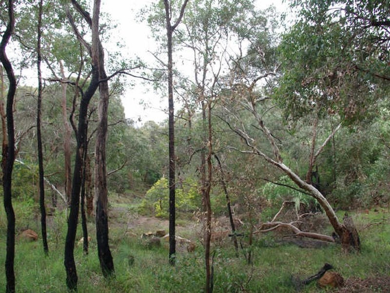 39 Nelson Crescent, Lesmurdie WA 6076