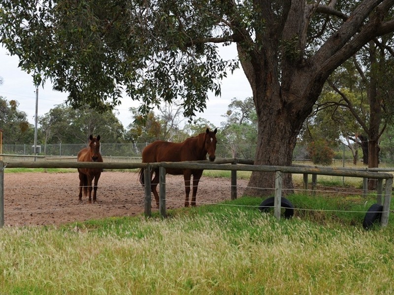 225 Hartfield Road, Forrestfield WA 6058