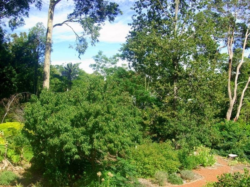 8 Peet Road, Kalamunda WA 6076