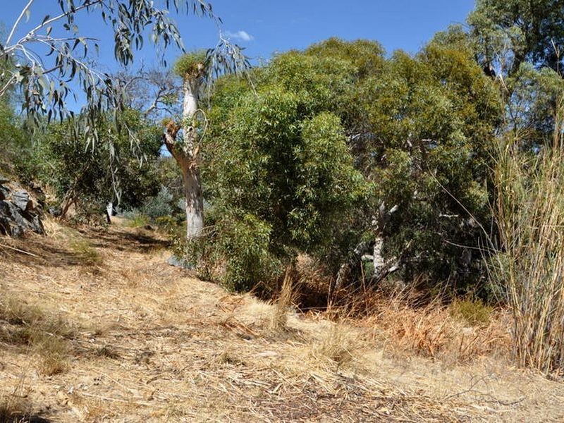 20 City Vista, Kalamunda WA 6076