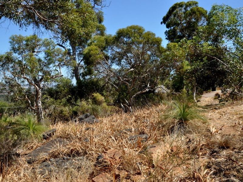 20 City Vista, Kalamunda WA 6076