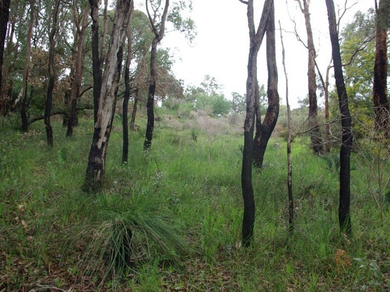 39 Nelson Crescent, Lesmurdie WA 6076