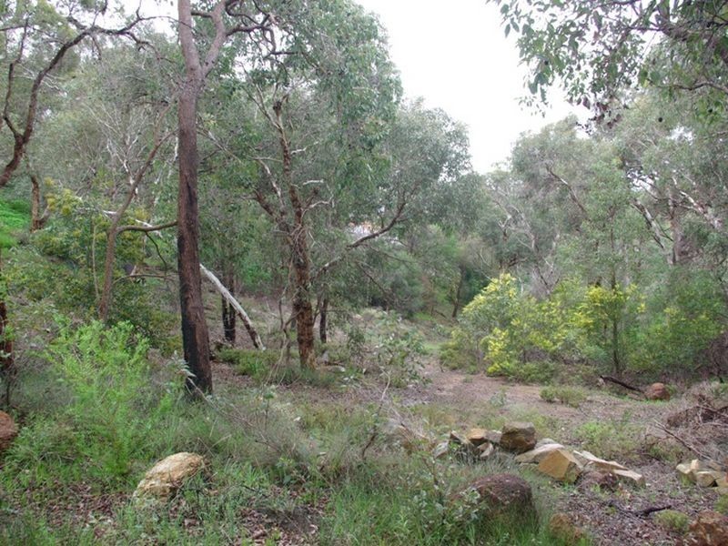 39 Nelson Crescent, Lesmurdie WA 6076