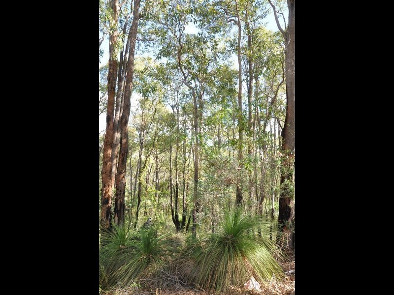 2 Cabarita Road, Kalamunda WA 6076