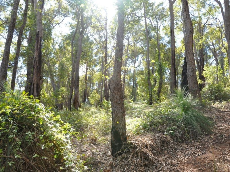 2 Cabarita Road, Kalamunda WA 6076