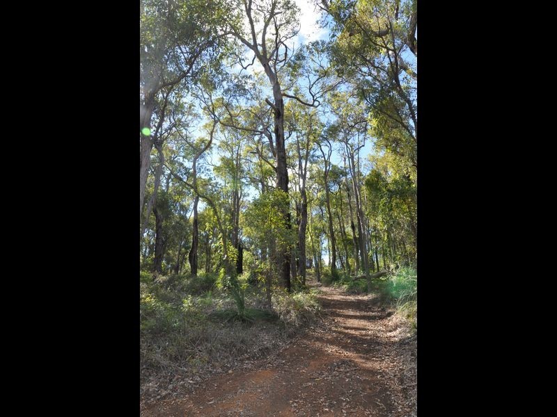 2 Cabarita Road, Kalamunda WA 6076