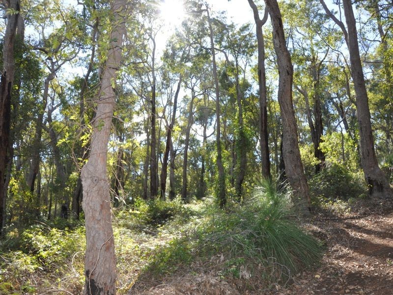 2 Cabarita Road, Kalamunda WA 6076