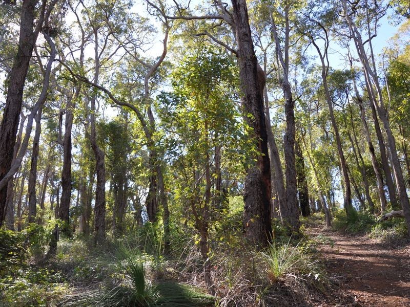 2 Cabarita Road, Kalamunda WA 6076