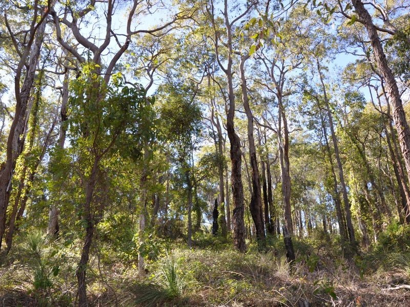 2 Cabarita Road, Kalamunda WA 6076