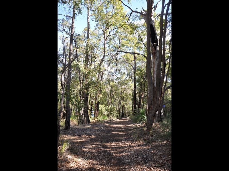 2 Cabarita Road, Kalamunda WA 6076