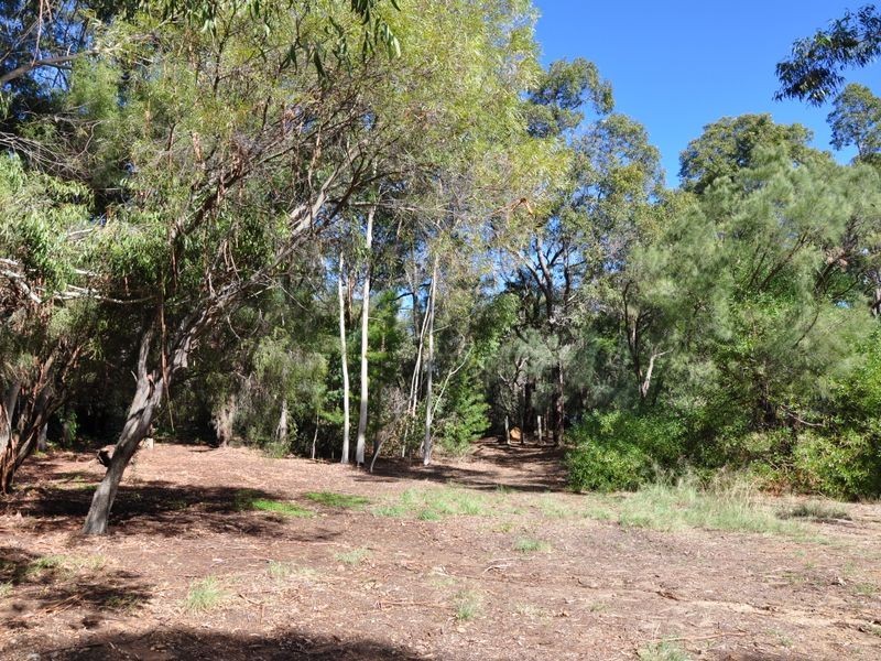 29 Barbigal Place, Lesmurdie WA 6076