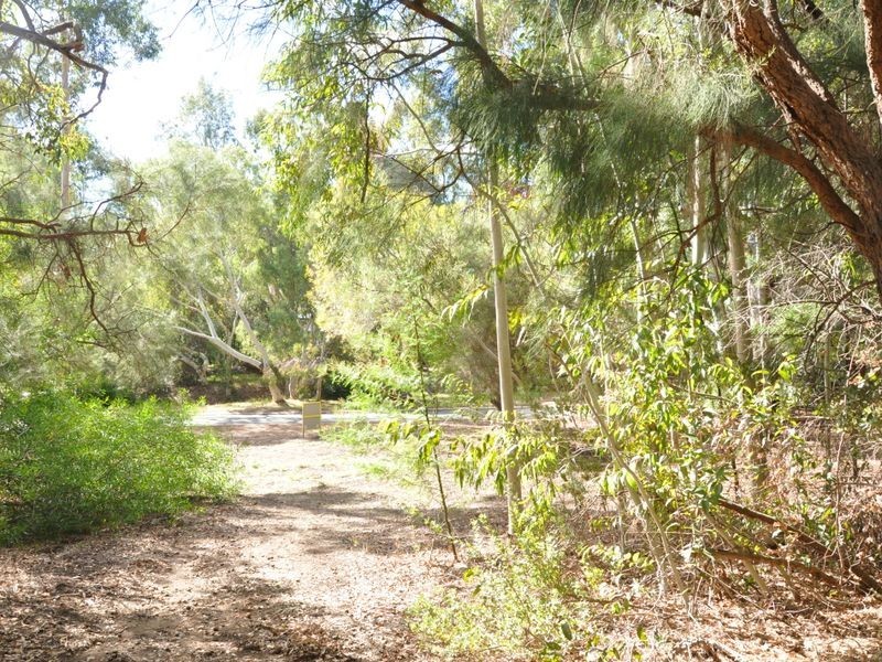 29 Barbigal Place, Lesmurdie WA 6076