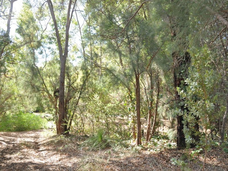 29 Barbigal Place, Lesmurdie WA 6076