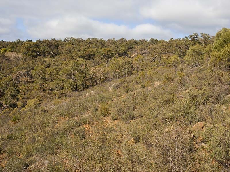 Kalamunda WA 6076