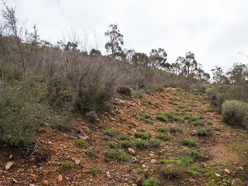 10 Ocean View Parade, Gooseberry Hill WA 6076