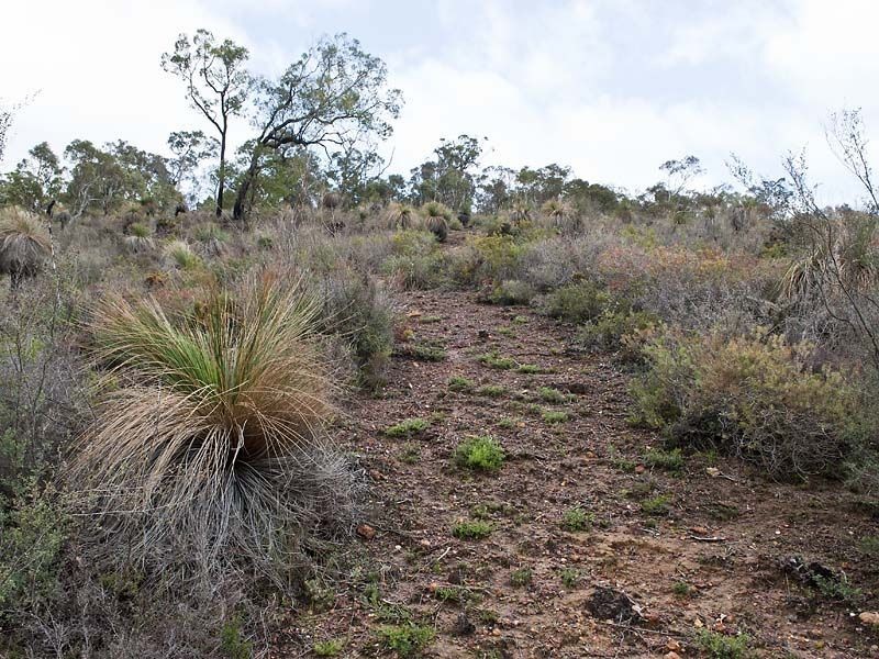 10 Ocean View Parade, Gooseberry Hill WA 6076