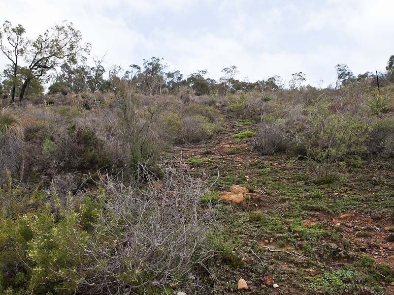 10 Ocean View Parade, Gooseberry Hill WA 6076