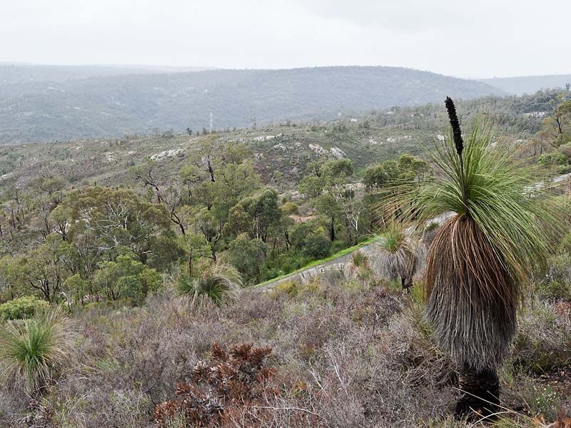 10 Ocean View Parade, Gooseberry Hill WA 6076