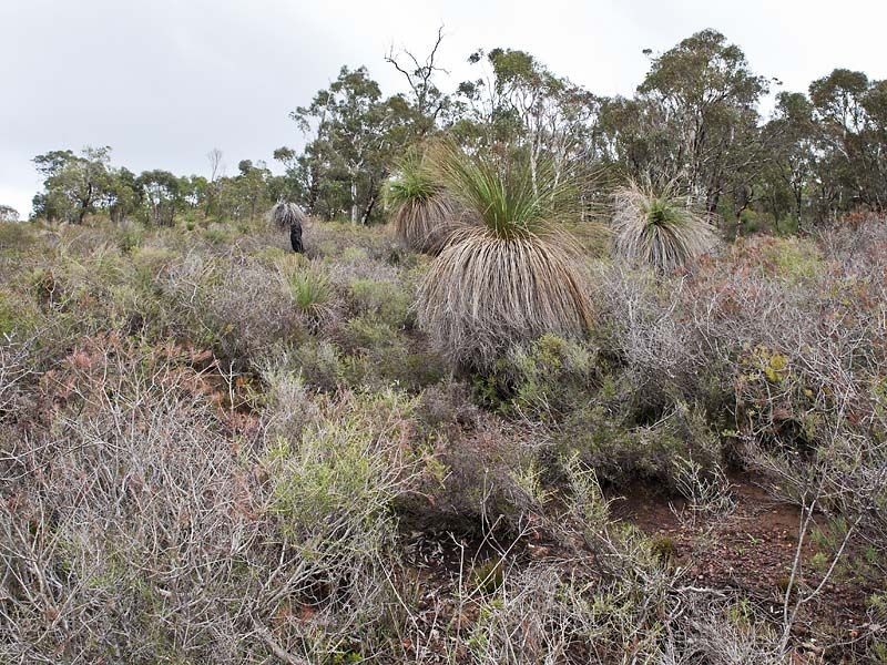 10 Ocean View Parade, Gooseberry Hill WA 6076