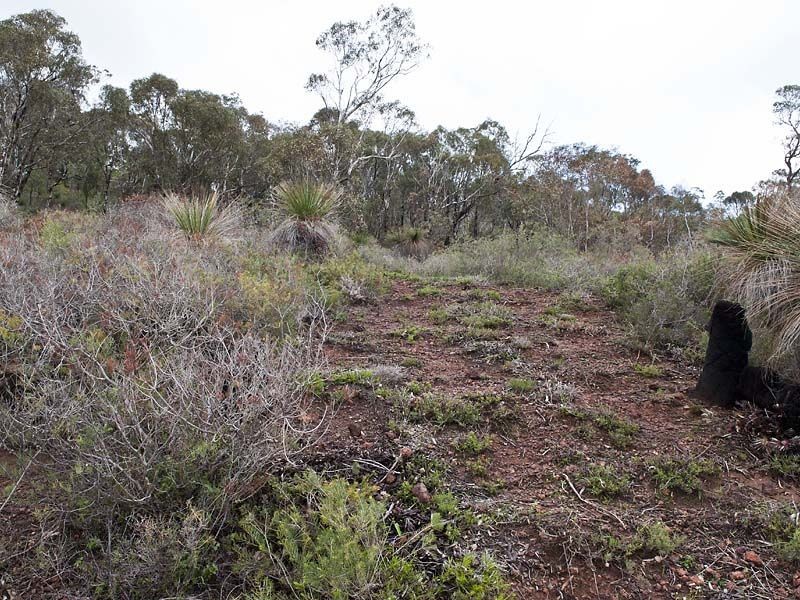 10 Ocean View Parade, Gooseberry Hill WA 6076