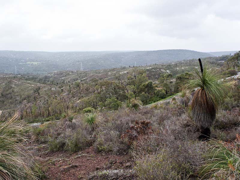 10 Ocean View Parade, Gooseberry Hill WA 6076
