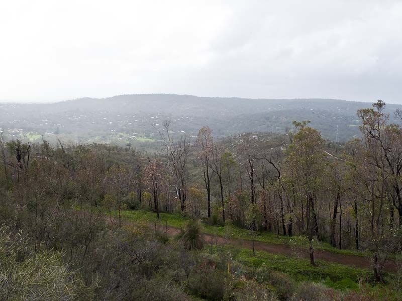 10 Ocean View Parade, Gooseberry Hill WA 6076