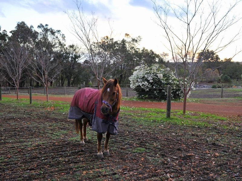 198 Burgess Road, Gidgegannup WA 6083