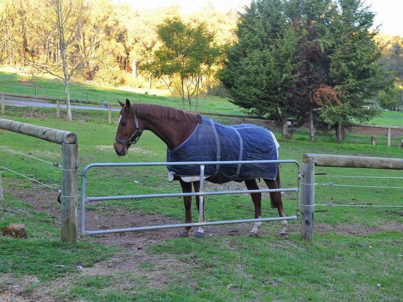 300 Aldersyde Road, Bickley WA 6076