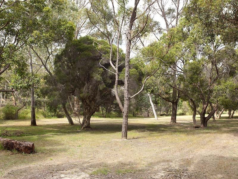 6 Flora Terrace, Lesmurdie WA 6076