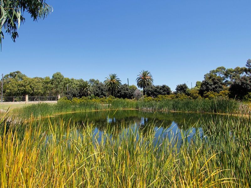 5 Heroic Lane, Wattle Grove WA 6107