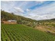 345 Aldersyde Road, Bickley WA 6076