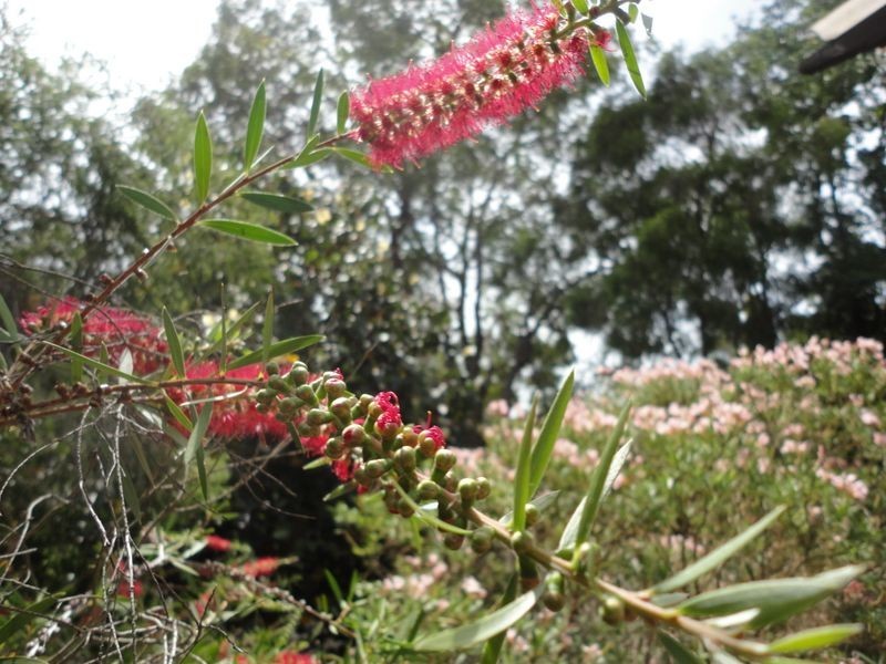 7/106 Williams Street, Gooseberry Hill WA 6076