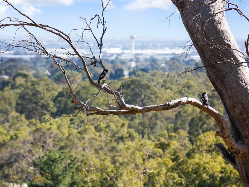 Holmes Road, Forrestfield WA 6058