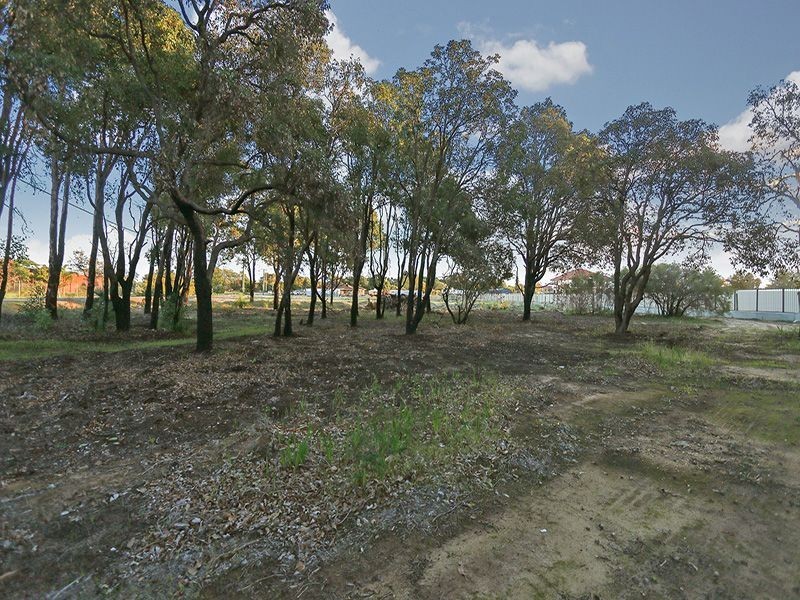 14 Brentwood Road, Wattle Grove WA 6107