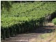 - Weld Road, Swan View WA 6056