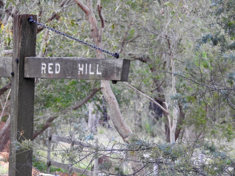 49 Hill Street, Gooseberry Hill WA 6076