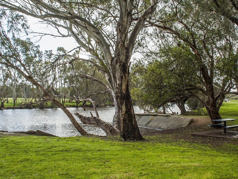 16 Third Avenue, Baskerville WA 6056