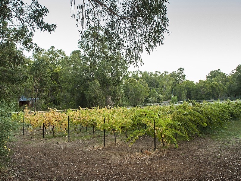 234 Stanhope Road, Walliston WA 6076