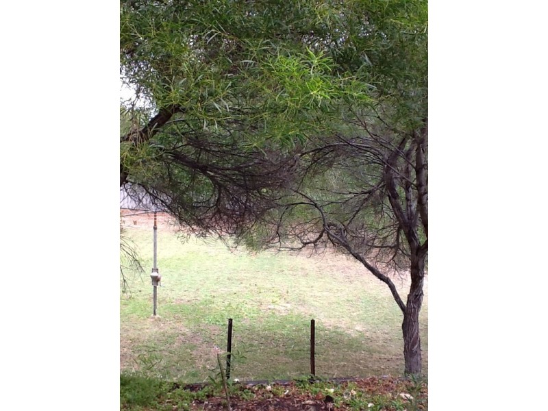 37 Ellendale Street, Golden Bay WA 6174