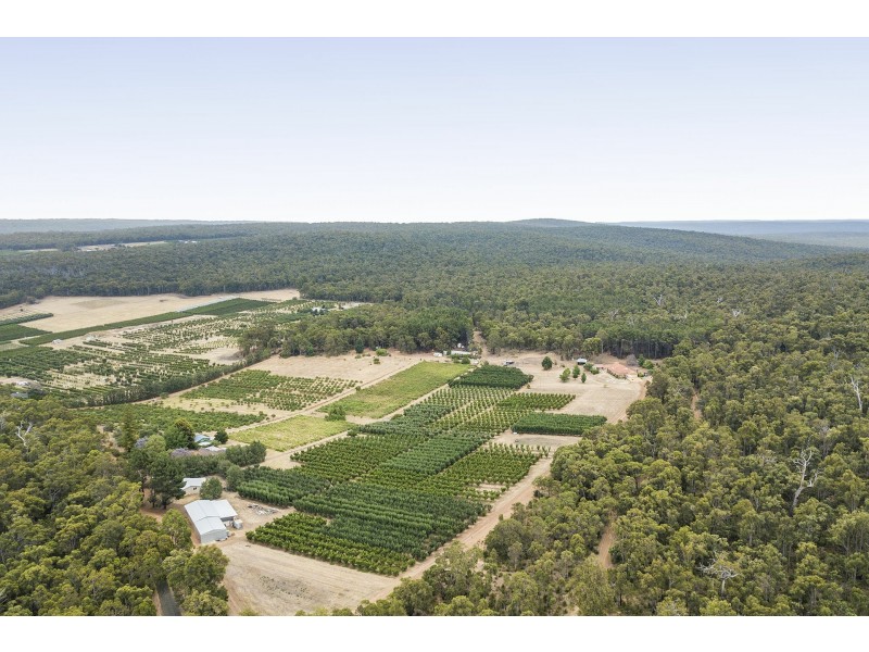 161 Bracken Road, Pickering Brook WA 6076