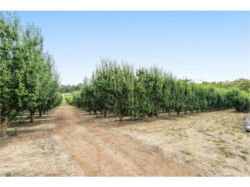 161 Bracken Road, Pickering Brook WA 6076