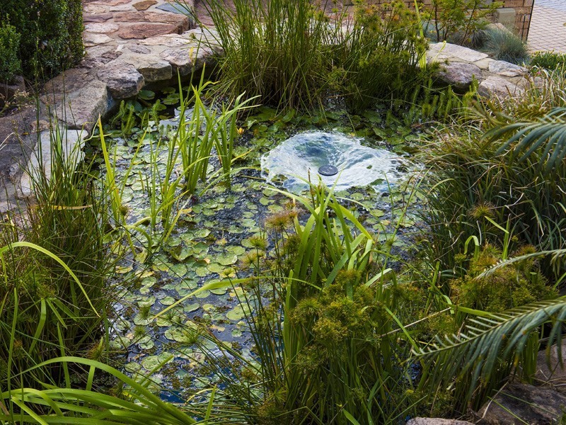 26 Dale Drive, Gooseberry Hill WA 6076