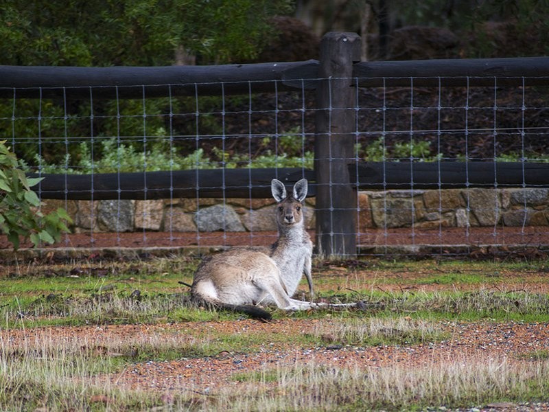 9 Adelaide Crescent, Helena Valley WA 6056