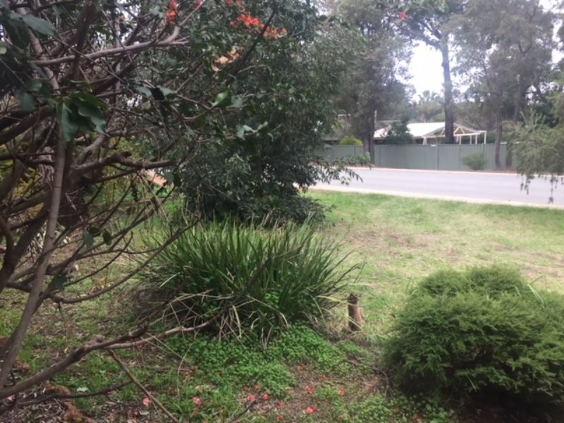 6 Orangedale Road, Lesmurdie WA 6076