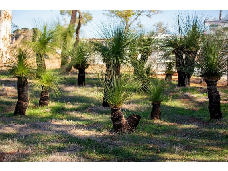 22 Boya Crescent, Boya WA 6056