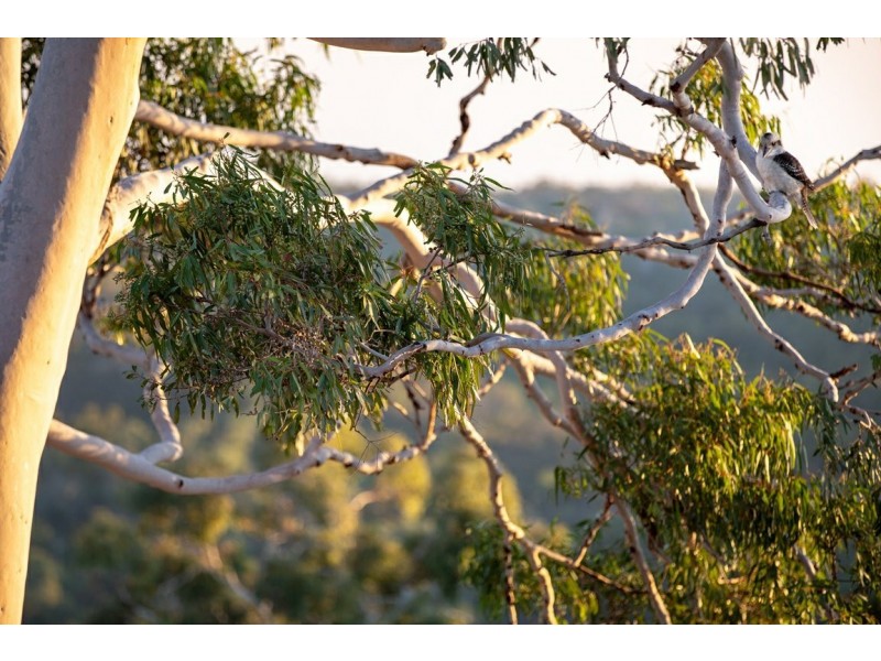 22 Boya Crescent, Boya WA 6056