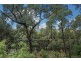 29 Palmateer Drive, Carmel WA 6076