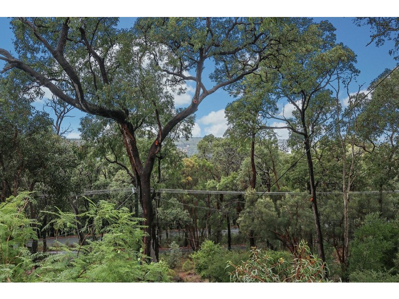 29 Palmateer Drive, Carmel WA 6076