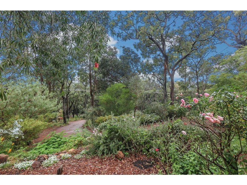 29 Palmateer Drive, Carmel WA 6076